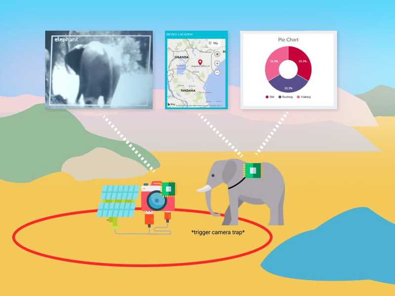 Can artificial intelligence give elephants a winning edge?